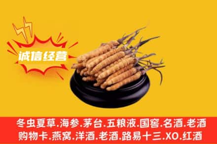 常德石门县回收冬虫夏草